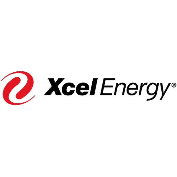 Xcel Energy Powergen International 2025